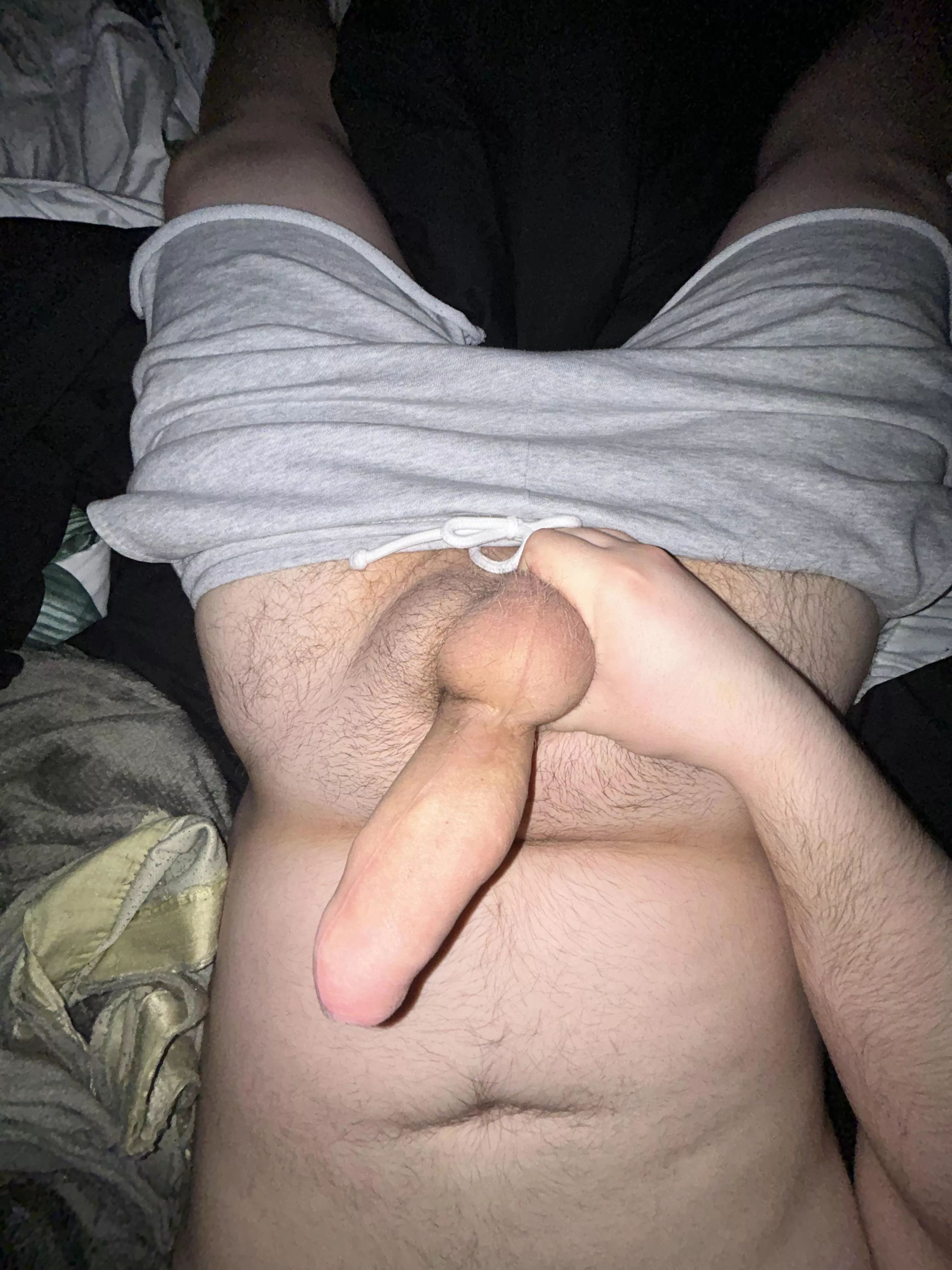 New here, be nice! posted by Less-Fact6325