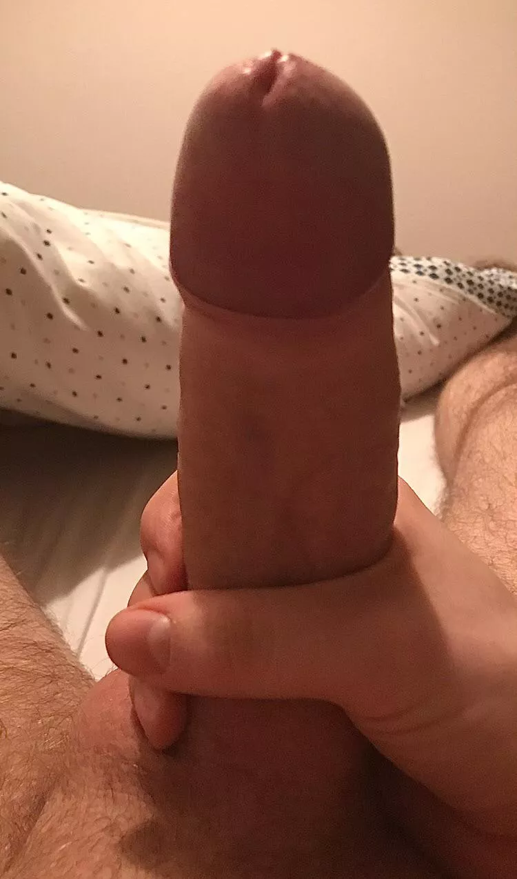 Opinions 🤔 posted by Ryanthepagan