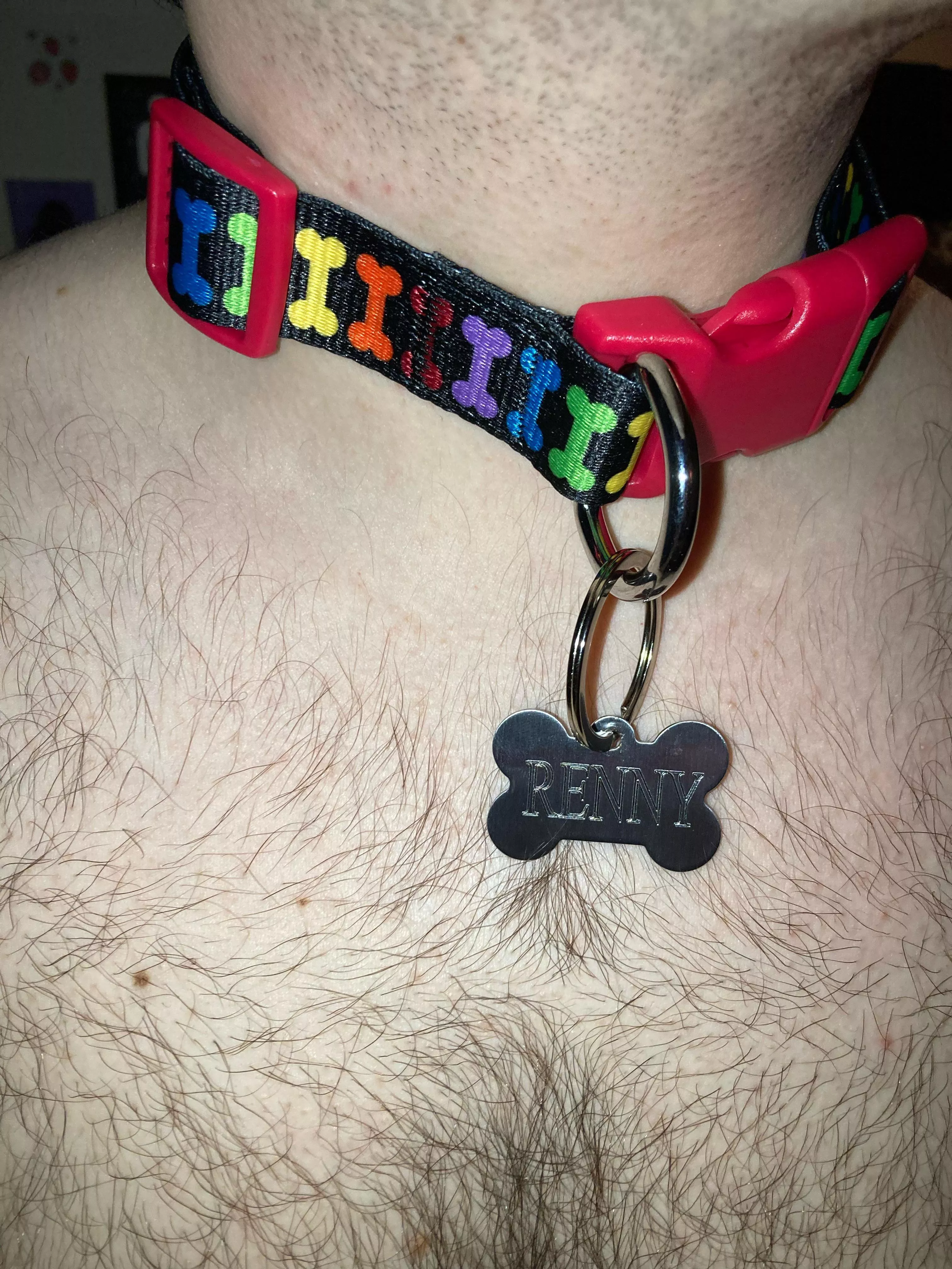 Pup’s first collar 😋 posted by rennypup