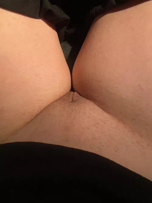 Pussy is a beautiful thing by Moonlitmagicx