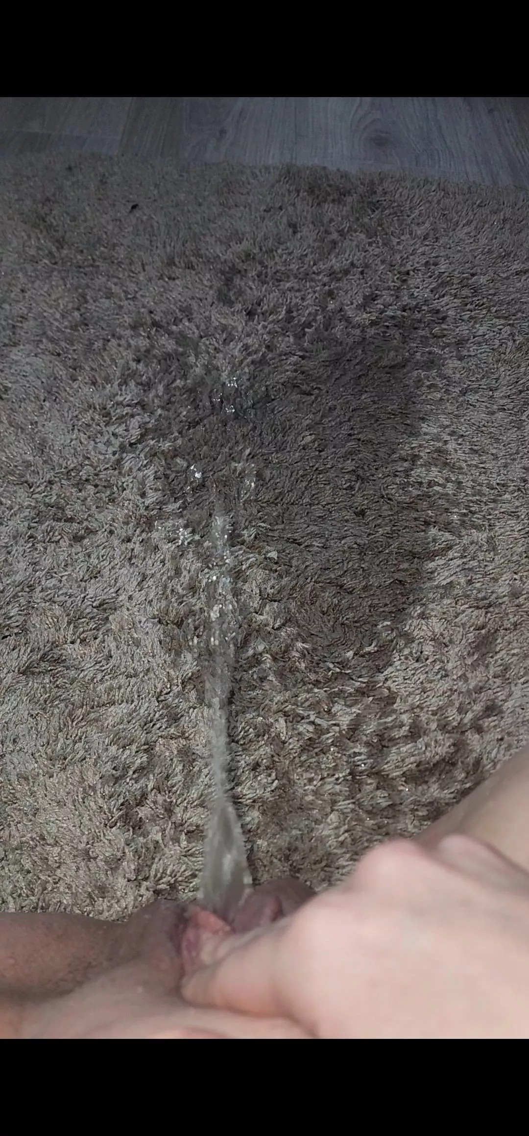 Quick little carpet piss posted by DirectCaterpillar119