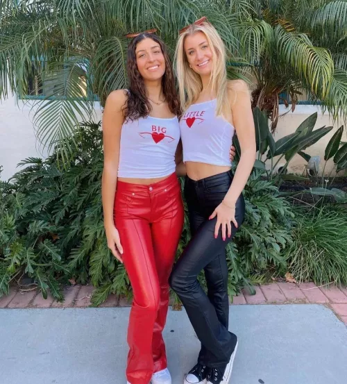 Red or Black by hornynj