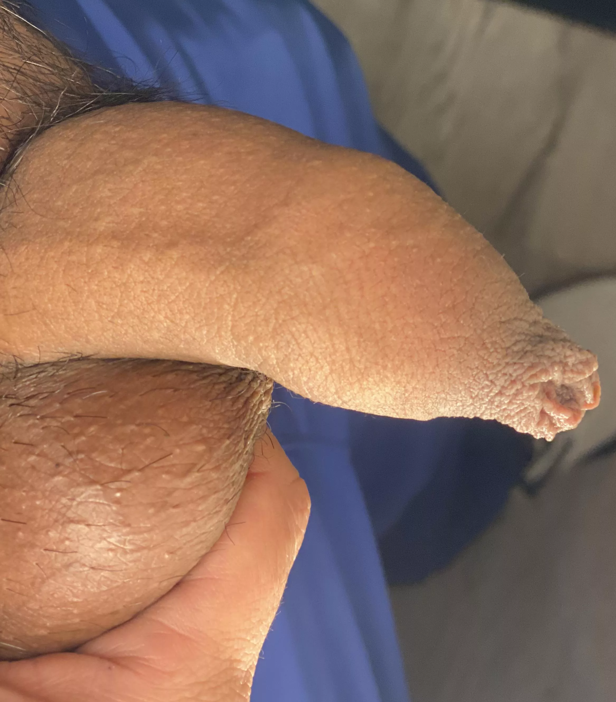 The gym softie posted by iso_uncut