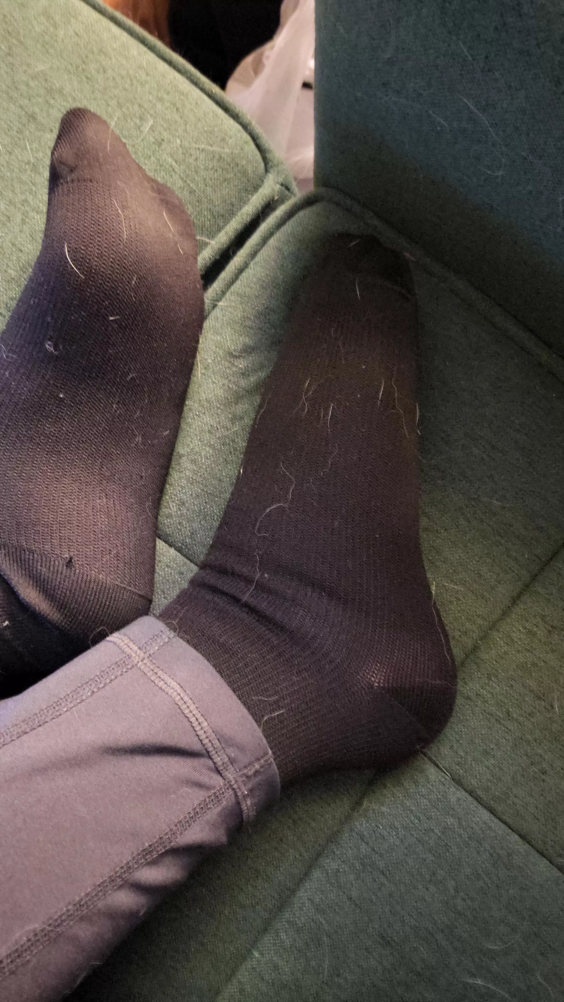 Today's Socks posted by sweet_brier_rose