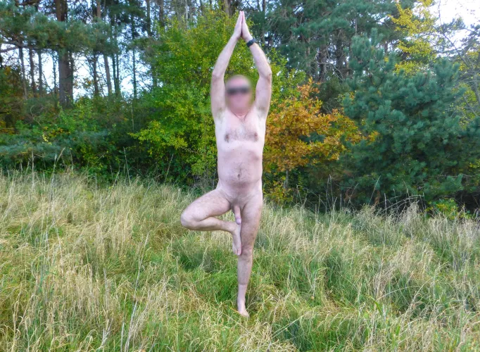 Tree pose without a leaf by ImaginaryMolasses894