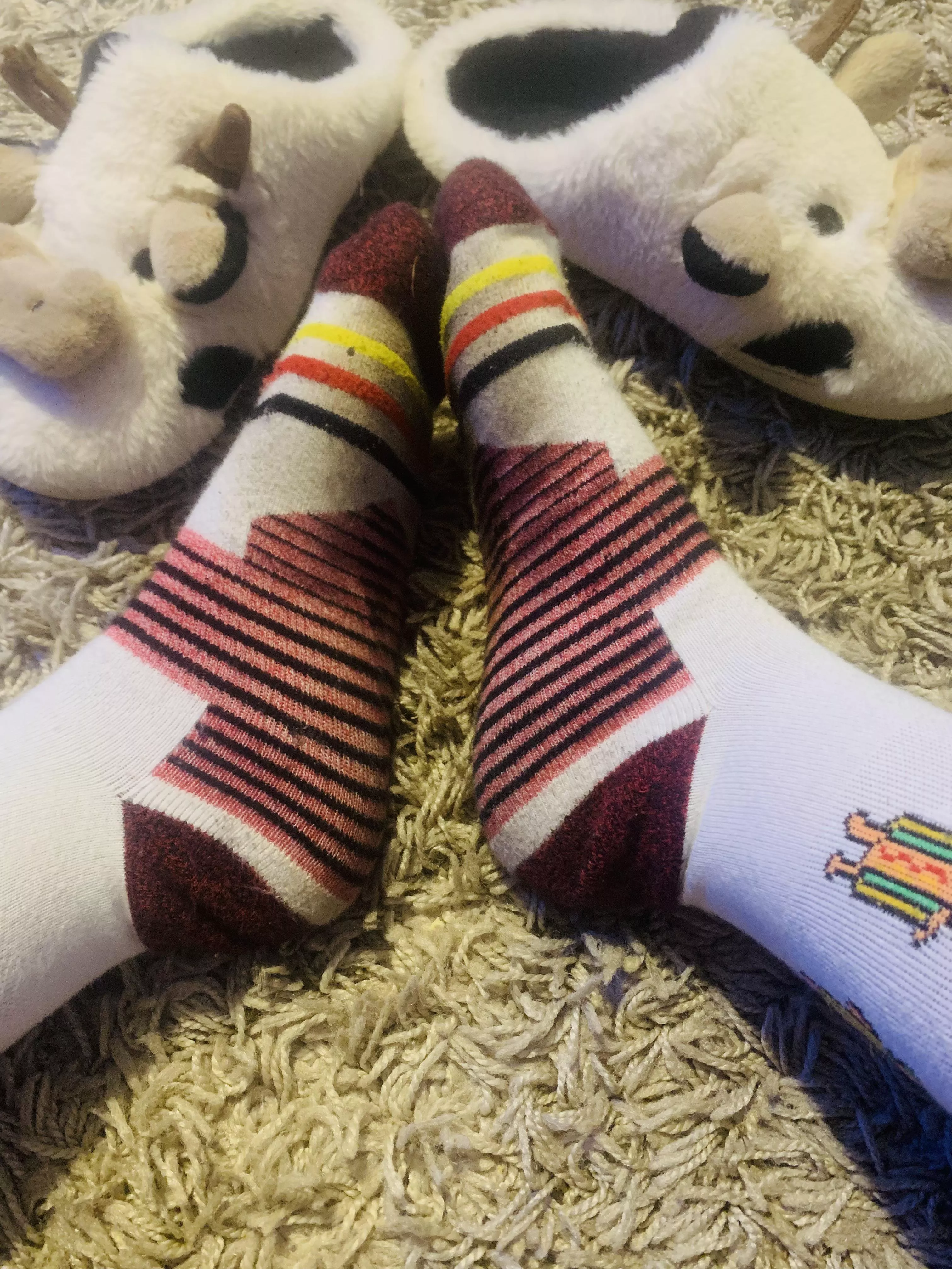 Week long worn hot dog socks 🌭 DM me:). posted by LandscapingAngel