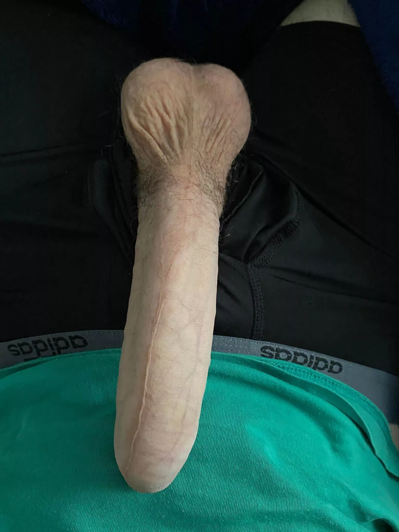 What do you think of my full coverage? posted by CurosACC