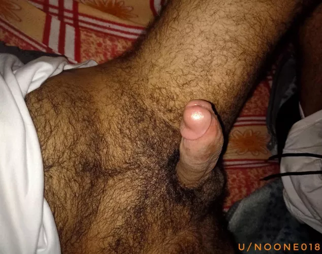 Where are the Egyptian cock lovers ?! by noone018