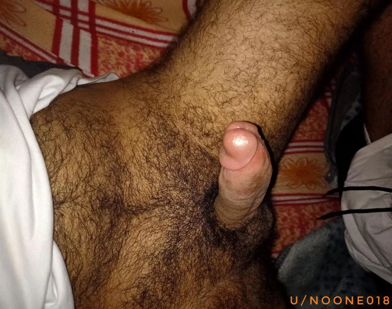 Where are the Egyptian cock lovers ?! posted by noone018