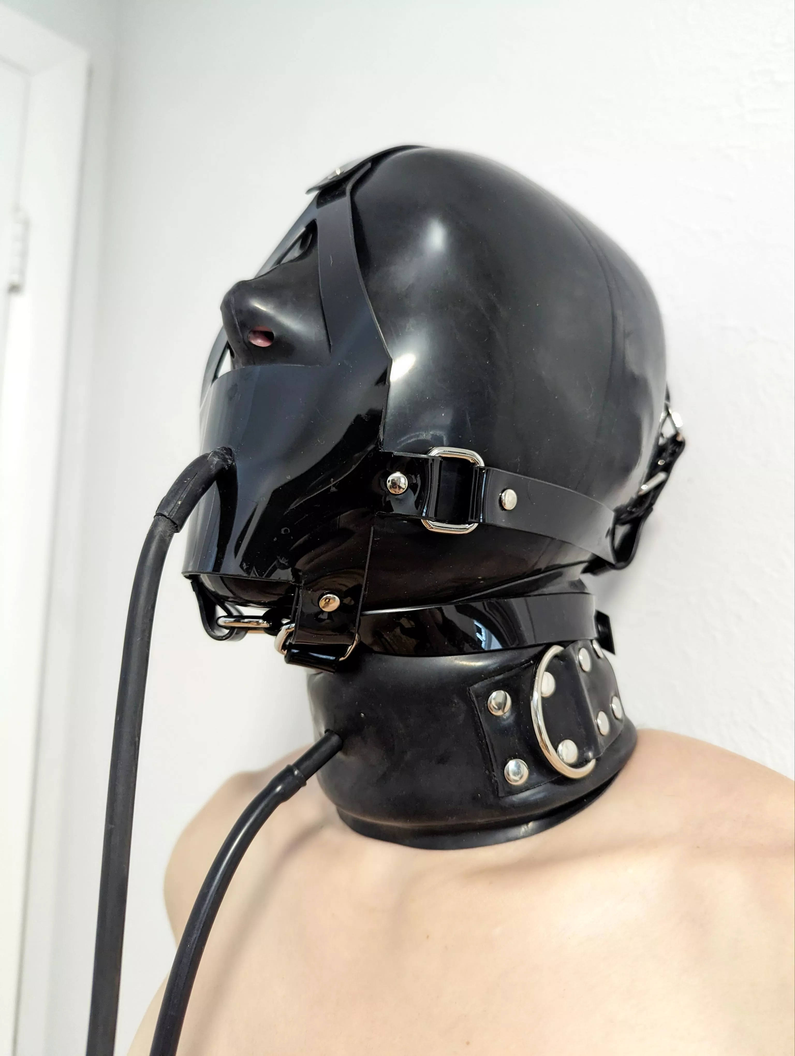 Which would you pump first? posted by Training_of_J