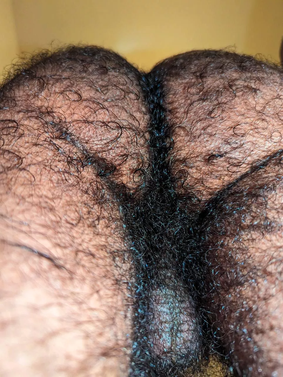 Whose face can I fuckin sit on 😎 posted by bigdicknudist