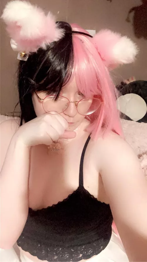 Your 19yo unowned kitten by chihvahua