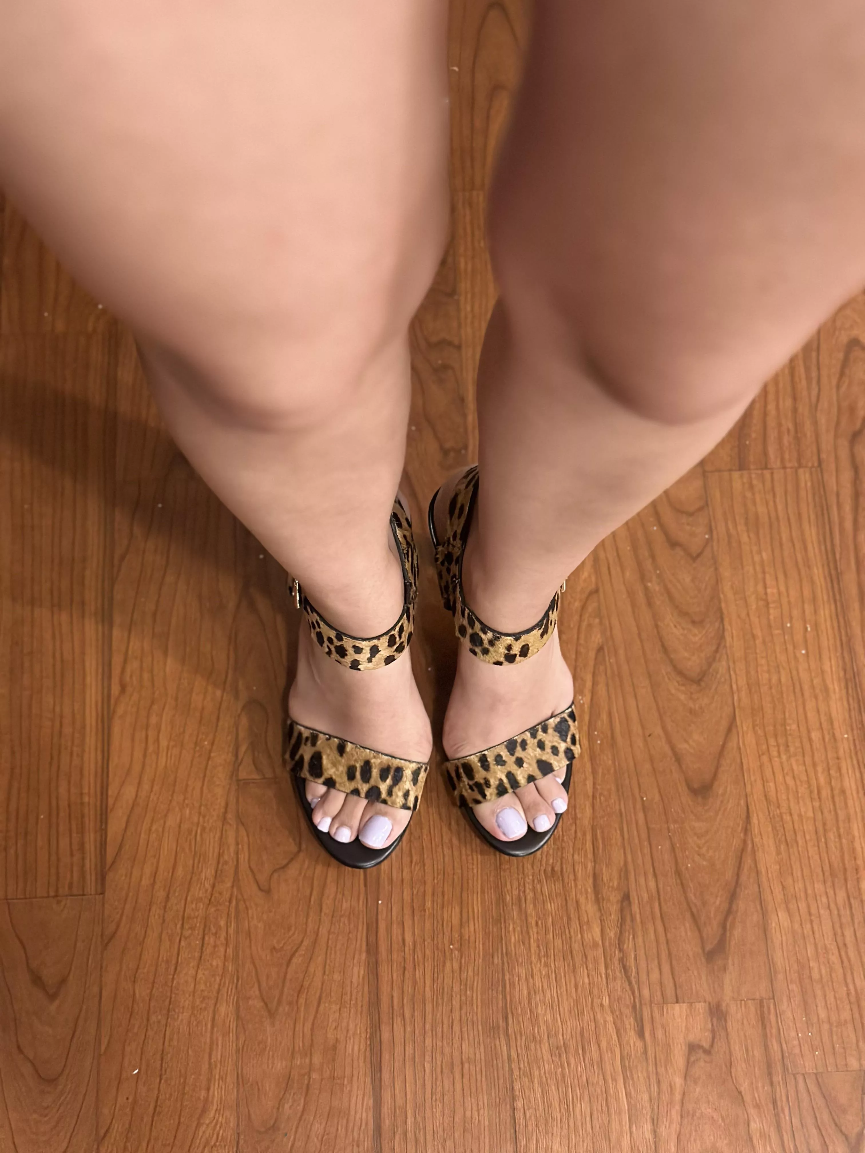 Your favorite Persian/Mexican is back 🫶🏽🤭🥰 posted by LessCheesecake4255