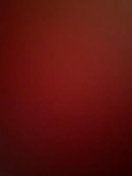 19 need honest dick ratings never shown my dick before dm me by BeautifulBarnacle855