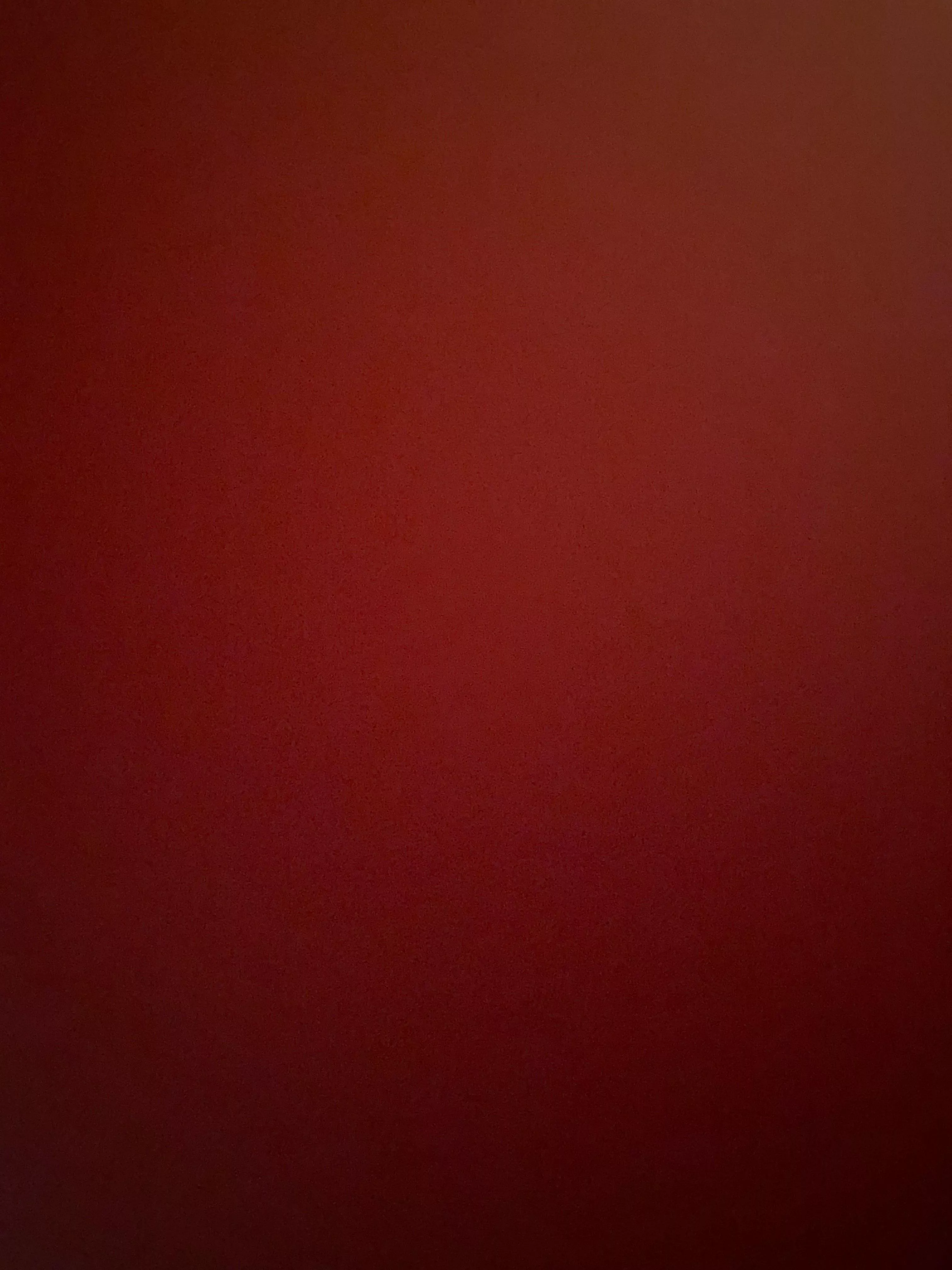 19 need honest dick ratings never shown my dick before dm me posted by BeautifulBarnacle855