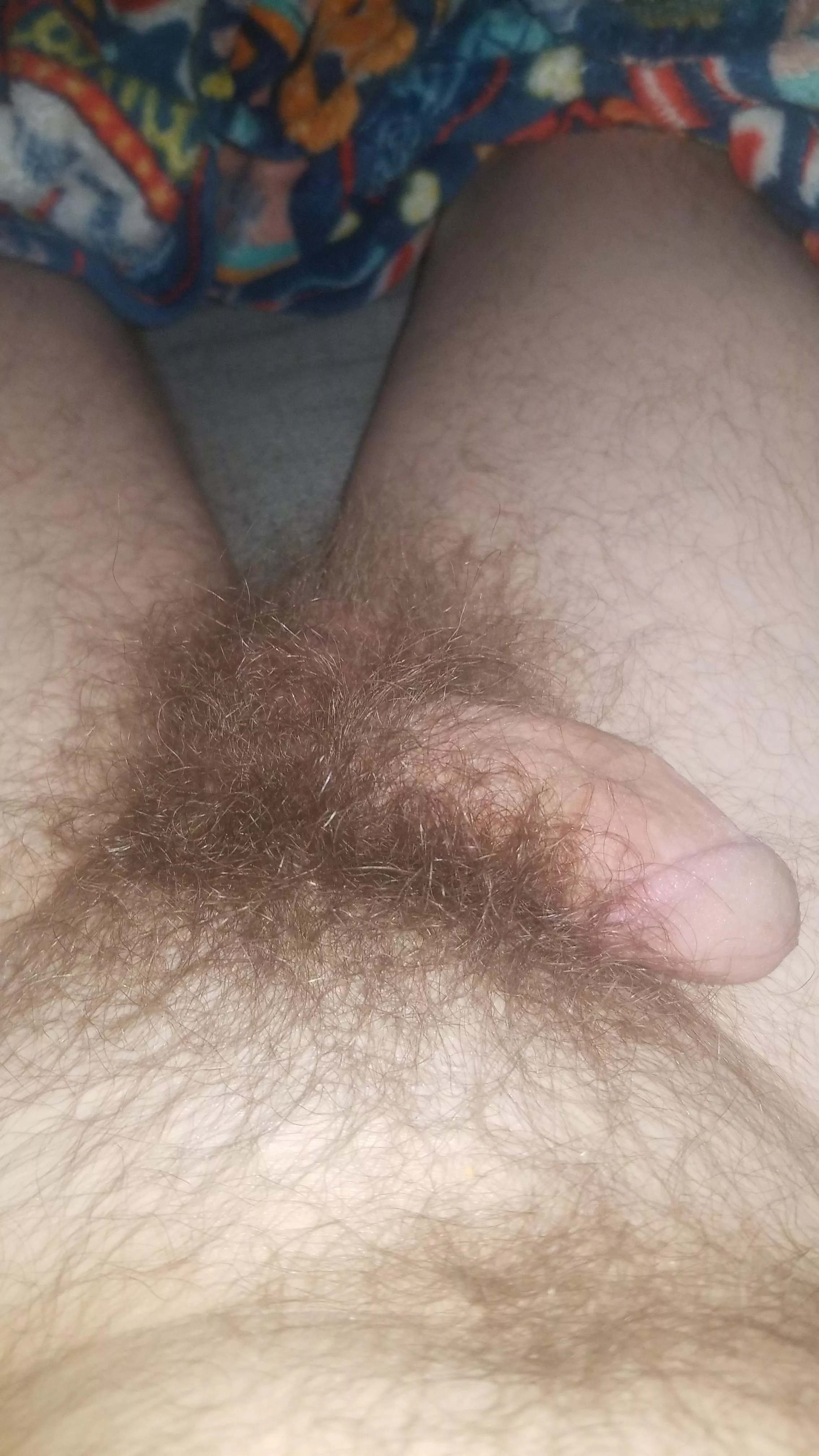 29 m4m any bisexual guys like my bush and cock? posted by wiseguy166