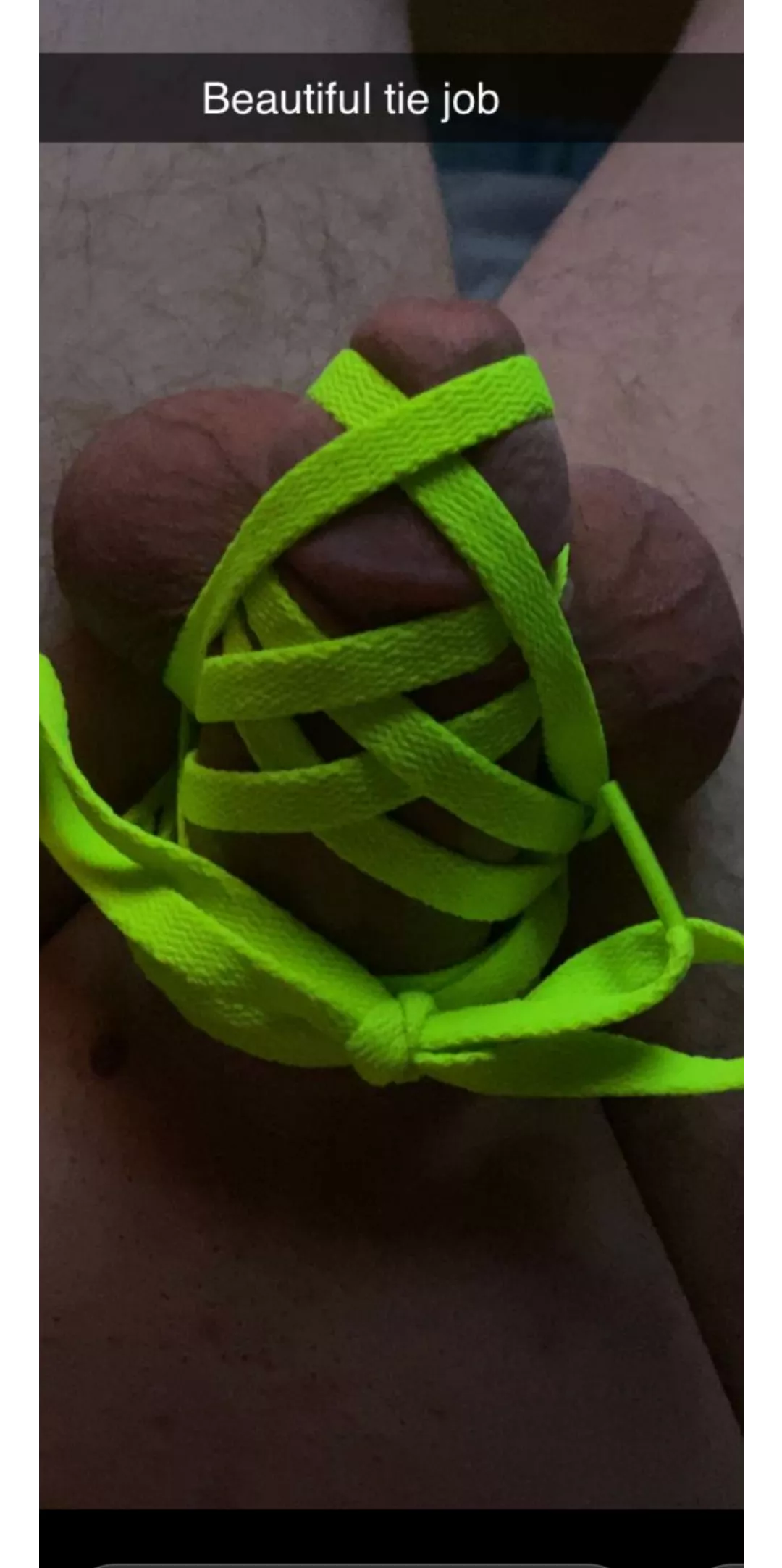 All tied up, no place to go. posted by missmoxie007