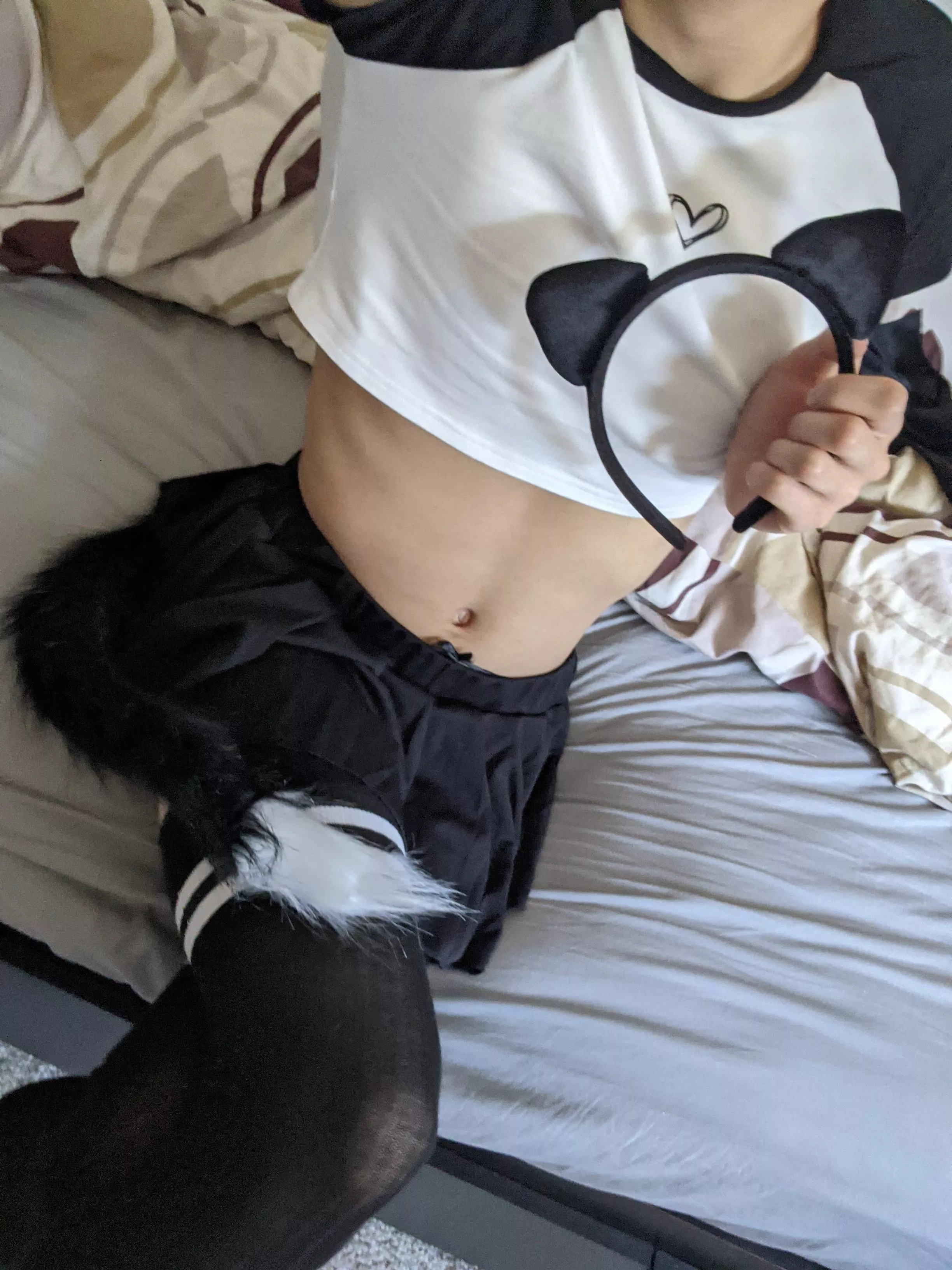 any cat people here? meoww :3 posted by ThinPressure3762