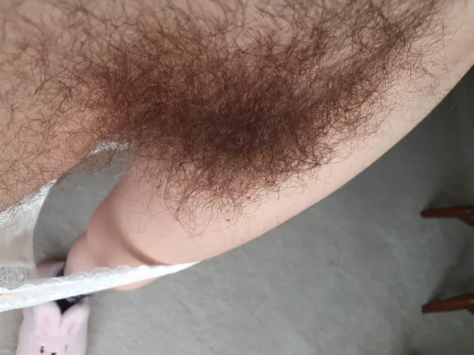 Freshly blow dried.. by plantlife34