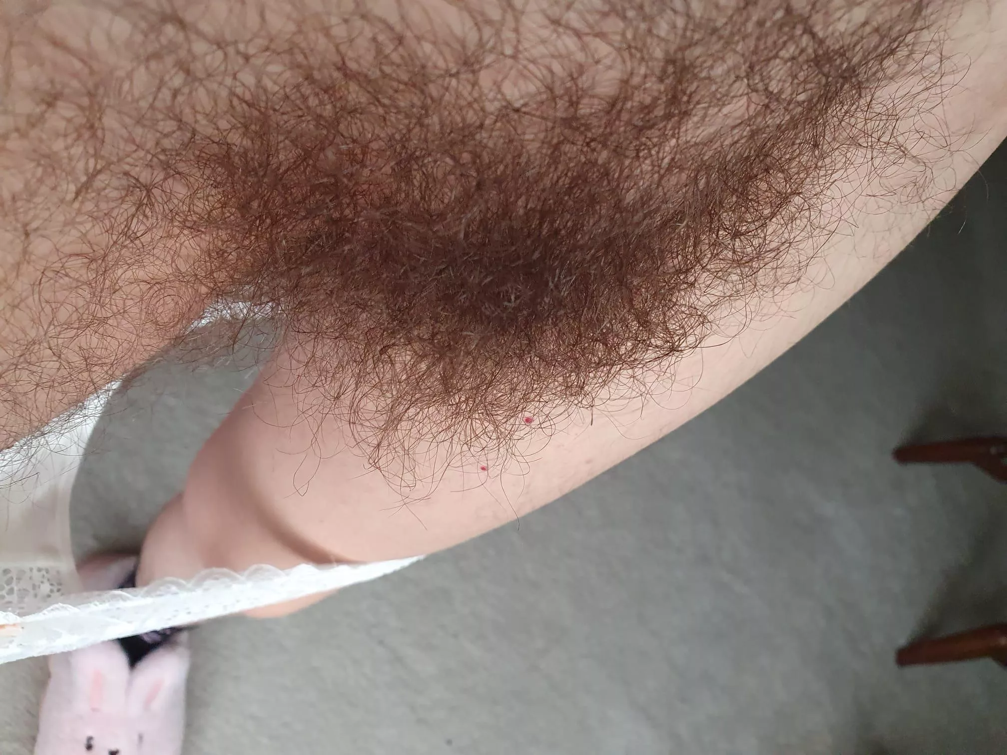 Freshly blow dried.. posted by plantlife34