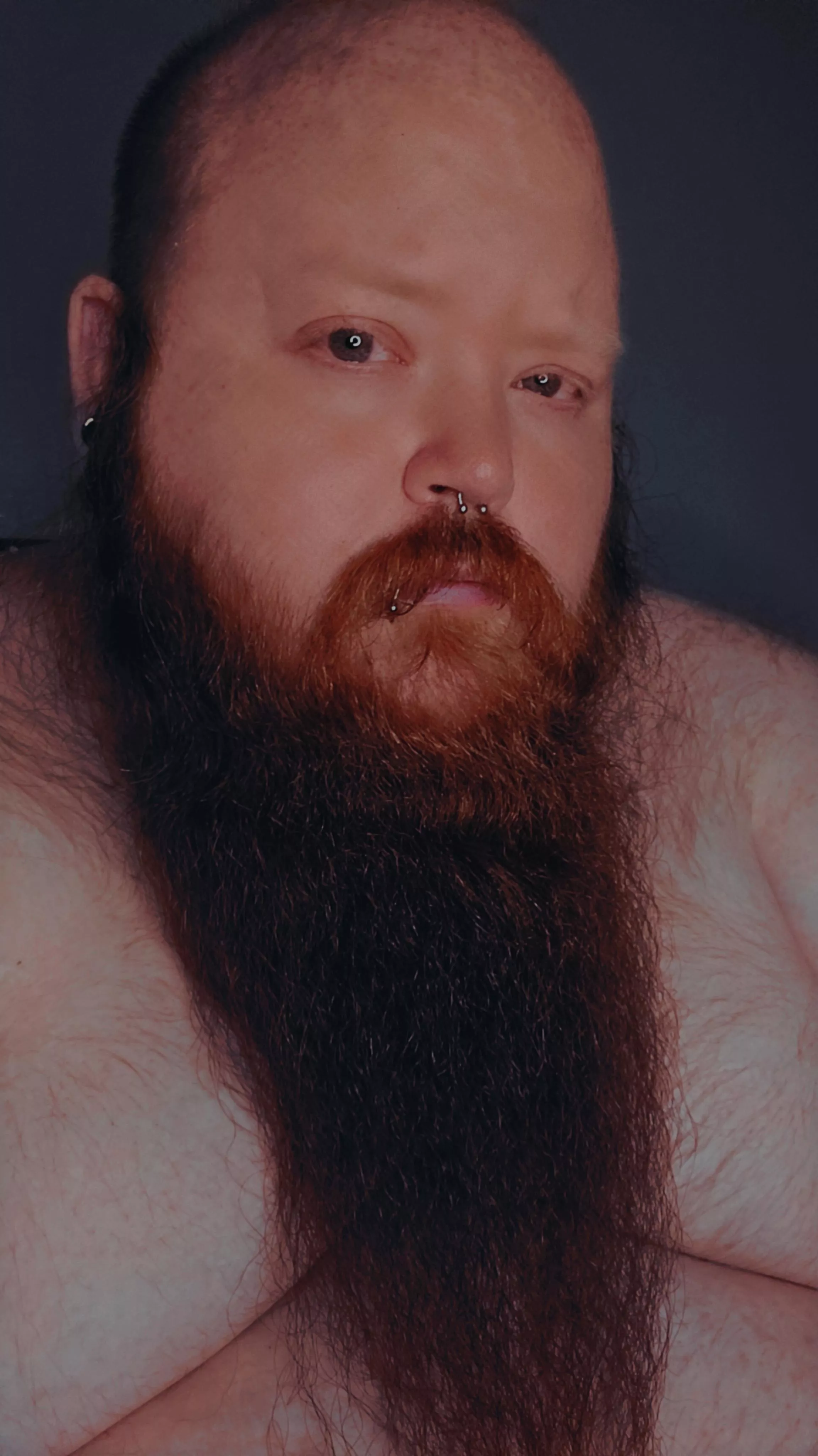 It's about time I moisturize and braid this majestic gingerlicious beard of mine posted by Wolvenking9