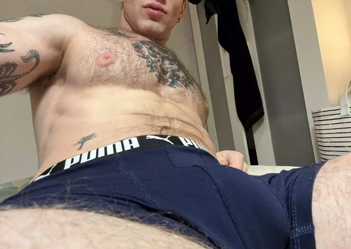 Just chilling posted by AlphaJake23