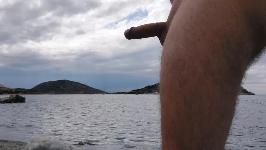 Longing for warmer days again by Kcocthrow