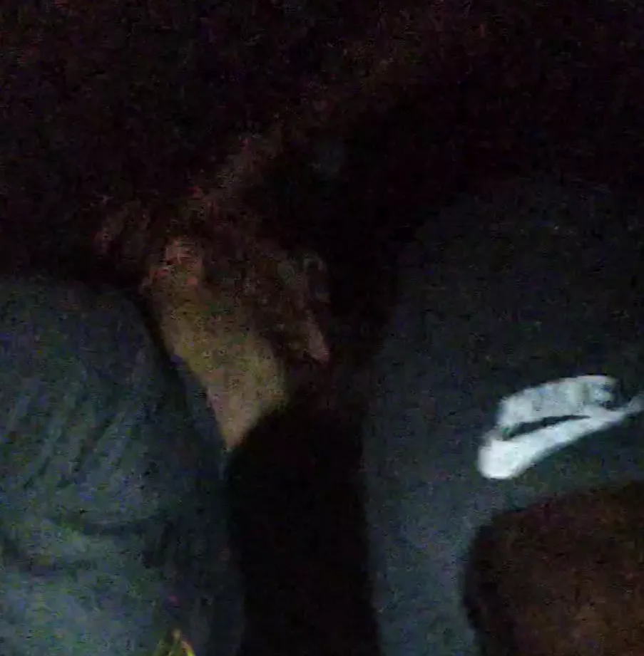 Not me sucking BBC in a public park 😳 posted by hangrycumslut