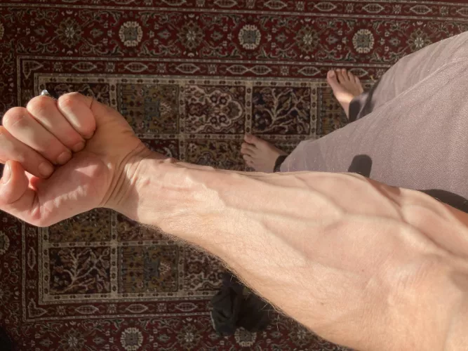 Ready for landscaping work by Vouno