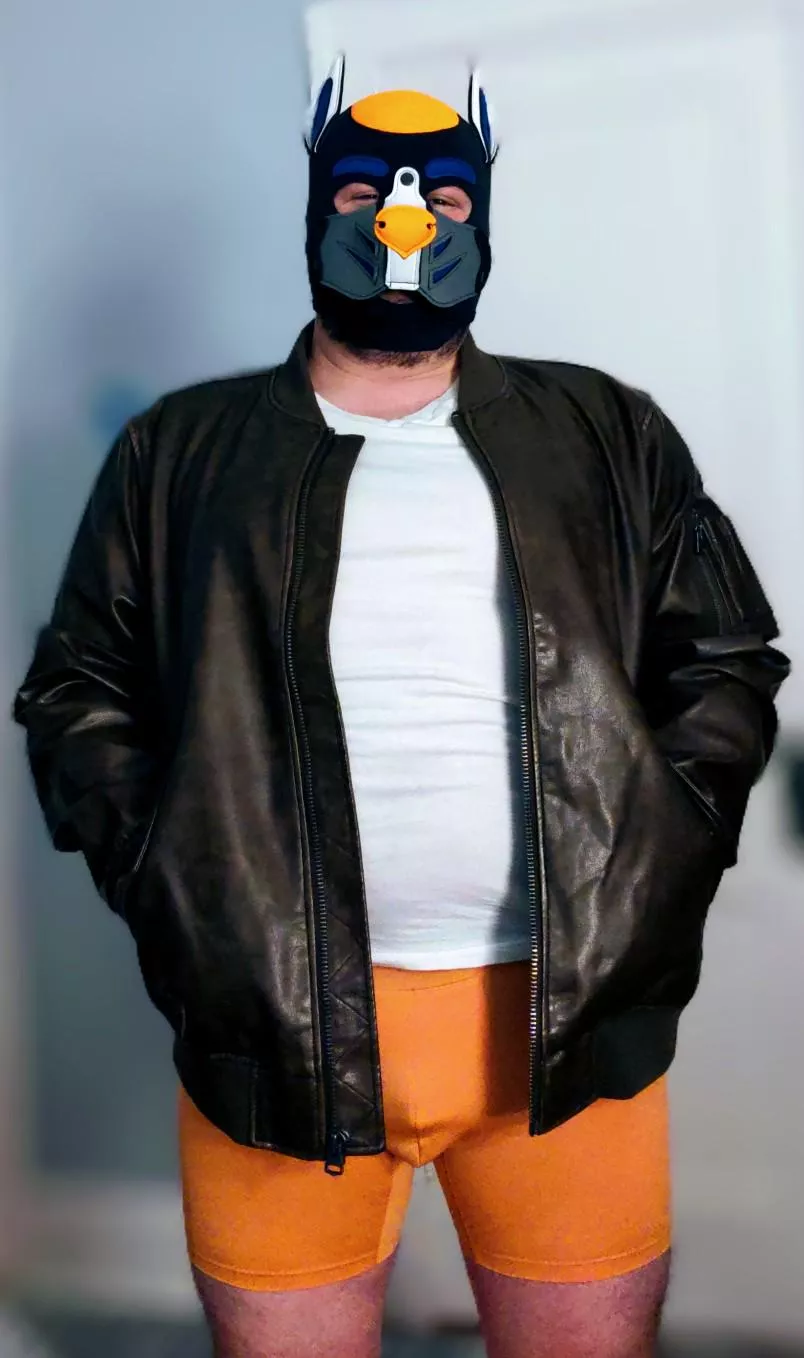 This pup is dressed up for some naughty nights out... posted by ctstmf