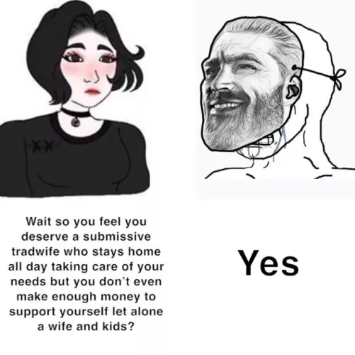 Tradwives in femdom vs the subs who crave them by OfDiceandWren