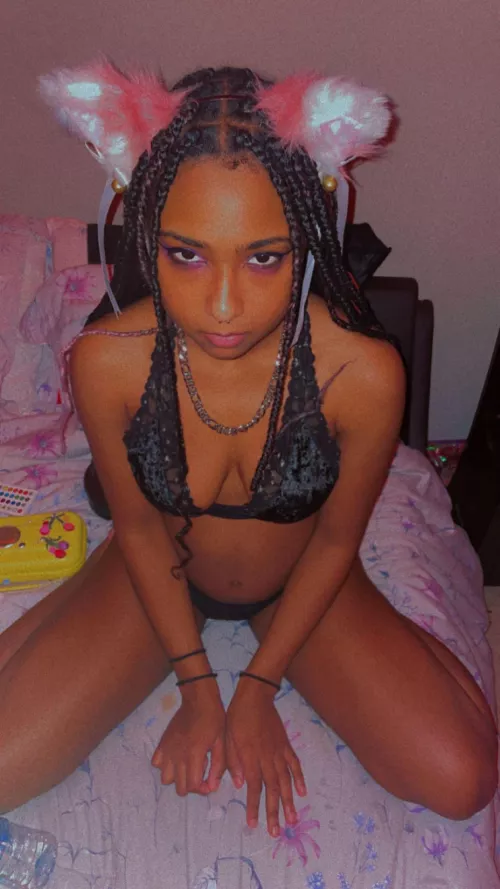 What type of collar would you give me? by ThrowRA_cookierat34