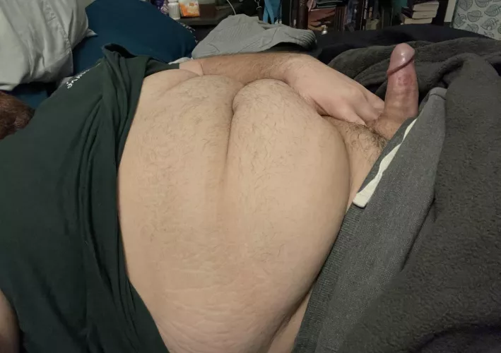 Who is ready to go for a ride? by bobbyhill2805