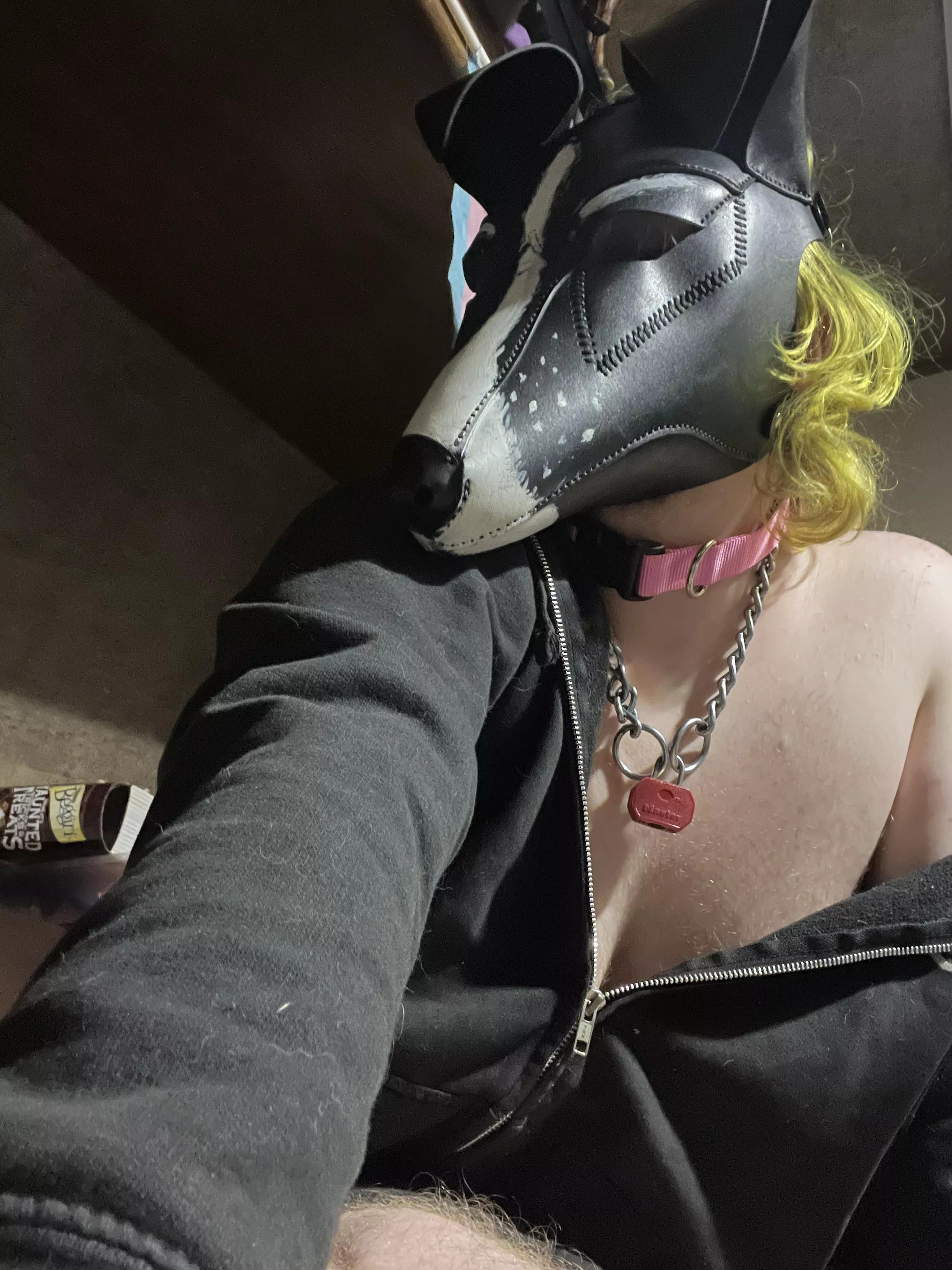 Woof woof *sniff sniff* (he/him) posted by SweetiePupMalysh