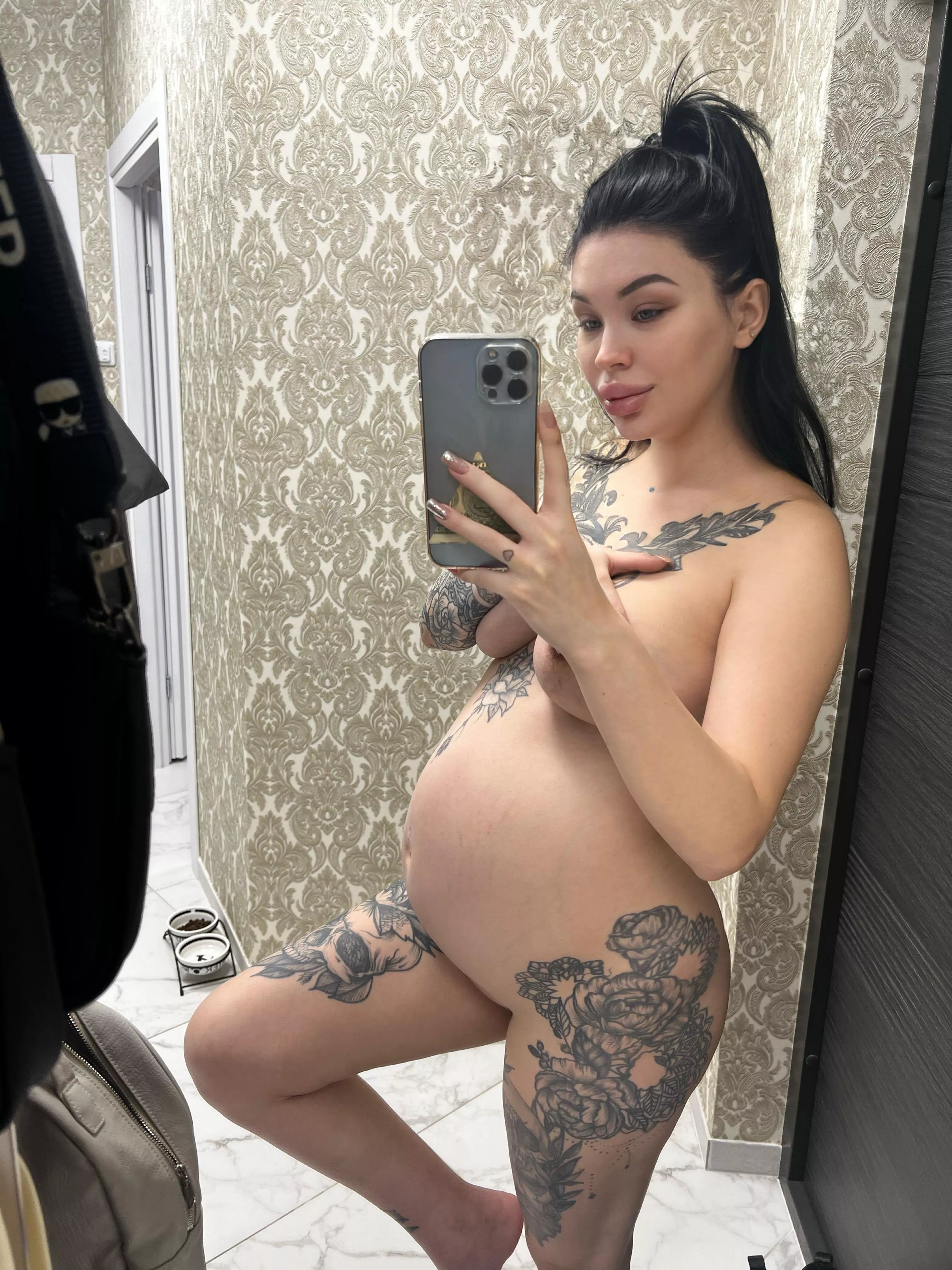 Anyone willing to breed me again in a few months? posted by MarshmallowBabee