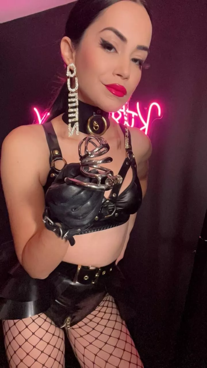 Beta dicklets belong in cages to ensure that learning neccessary mouth skills is their primary focus!👅 posted by gnjecavogzq