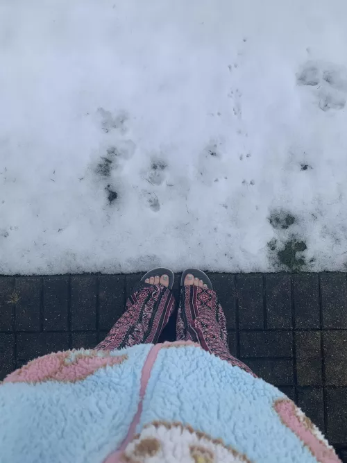 brrrrrr :3 by this_lil_piggi