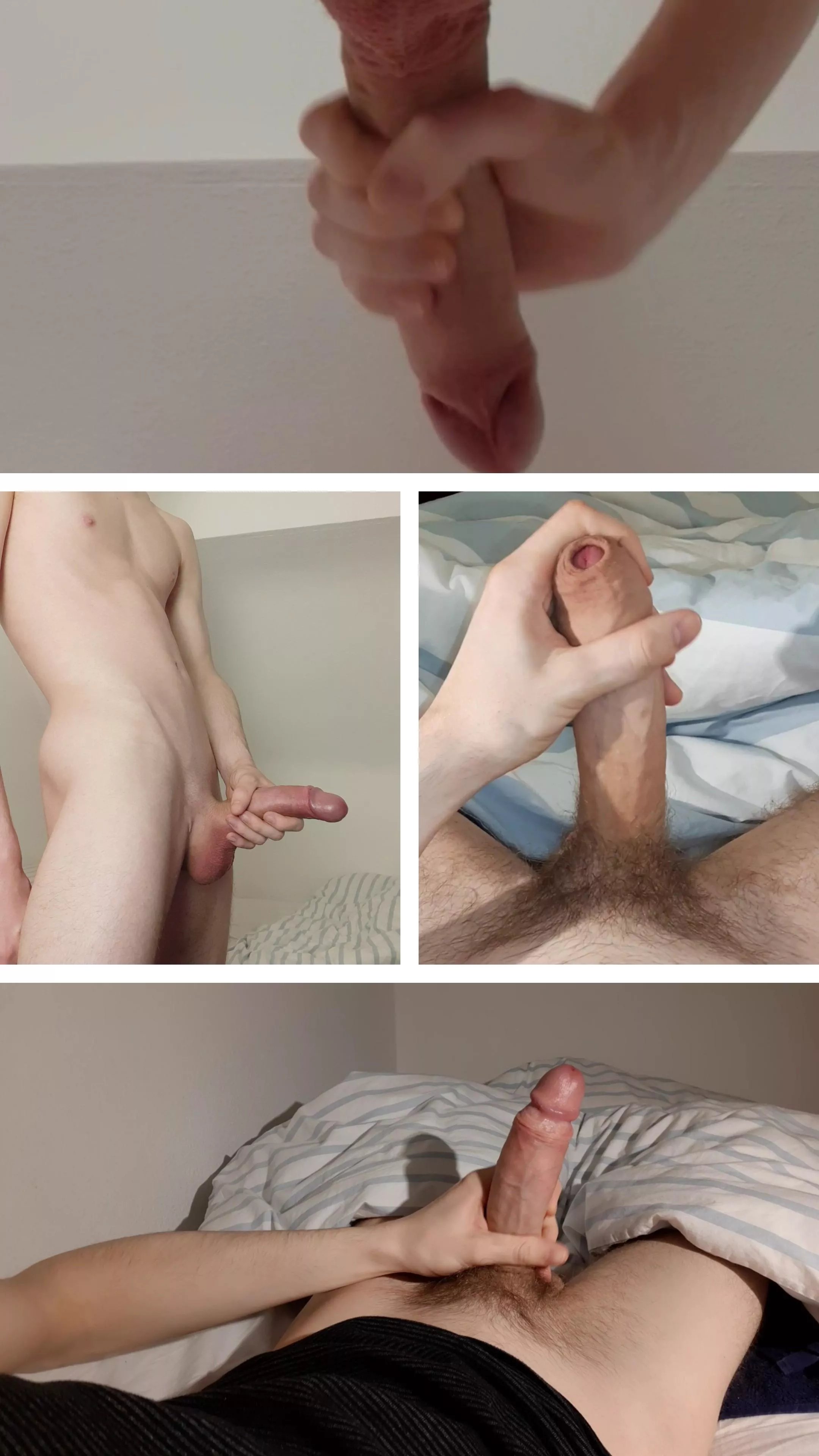 Bush or shaved? posted by thegermanxl