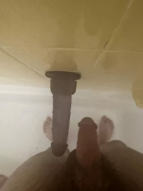 daily routine by PersonalDriver1964