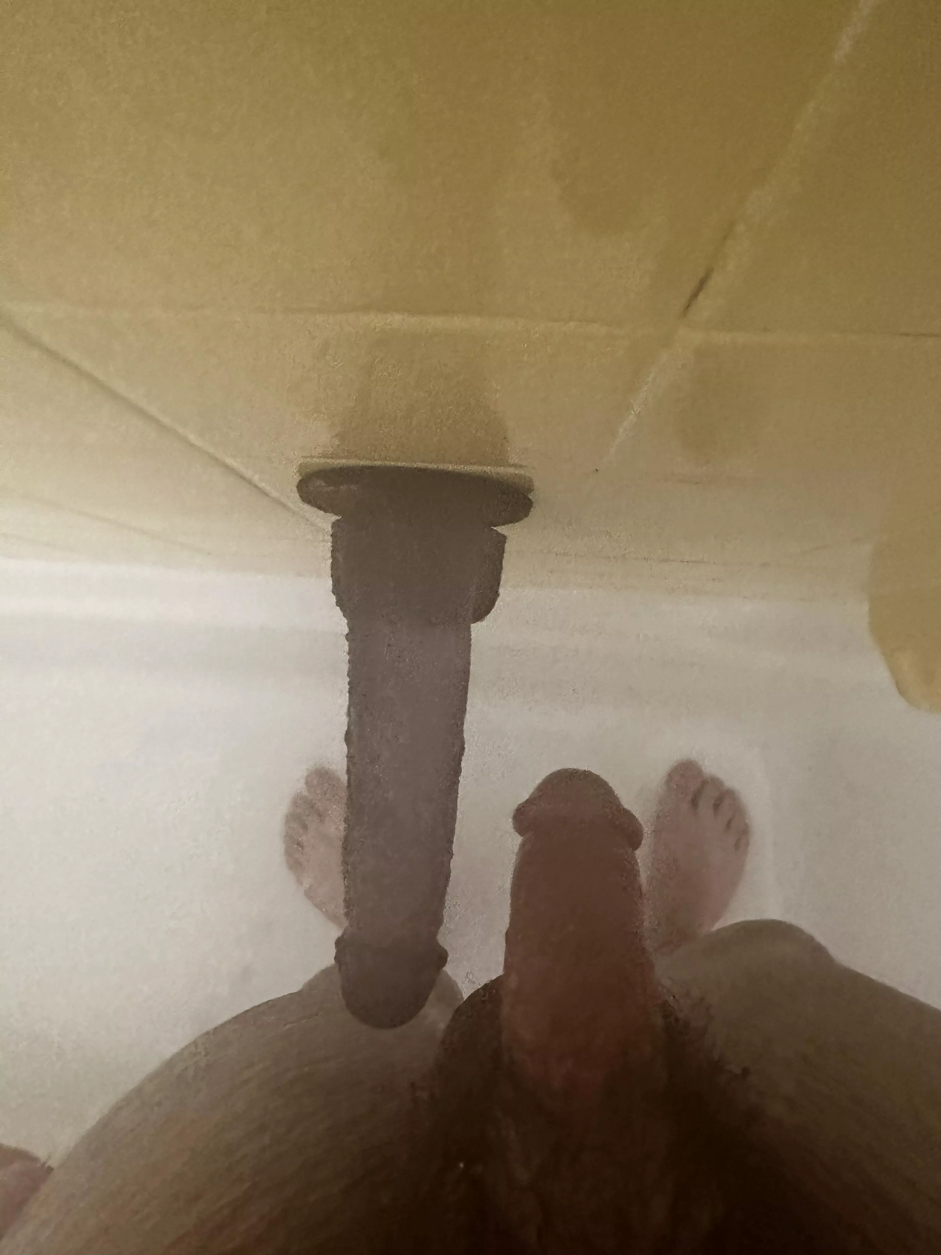 daily routine posted by PersonalDriver1964