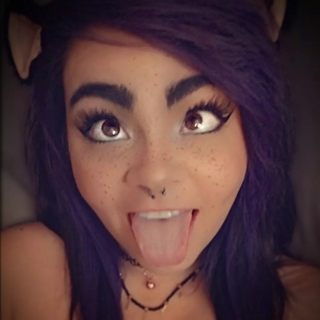 Do you want a new kitty ;) [OC] posted by xDixonCiderx