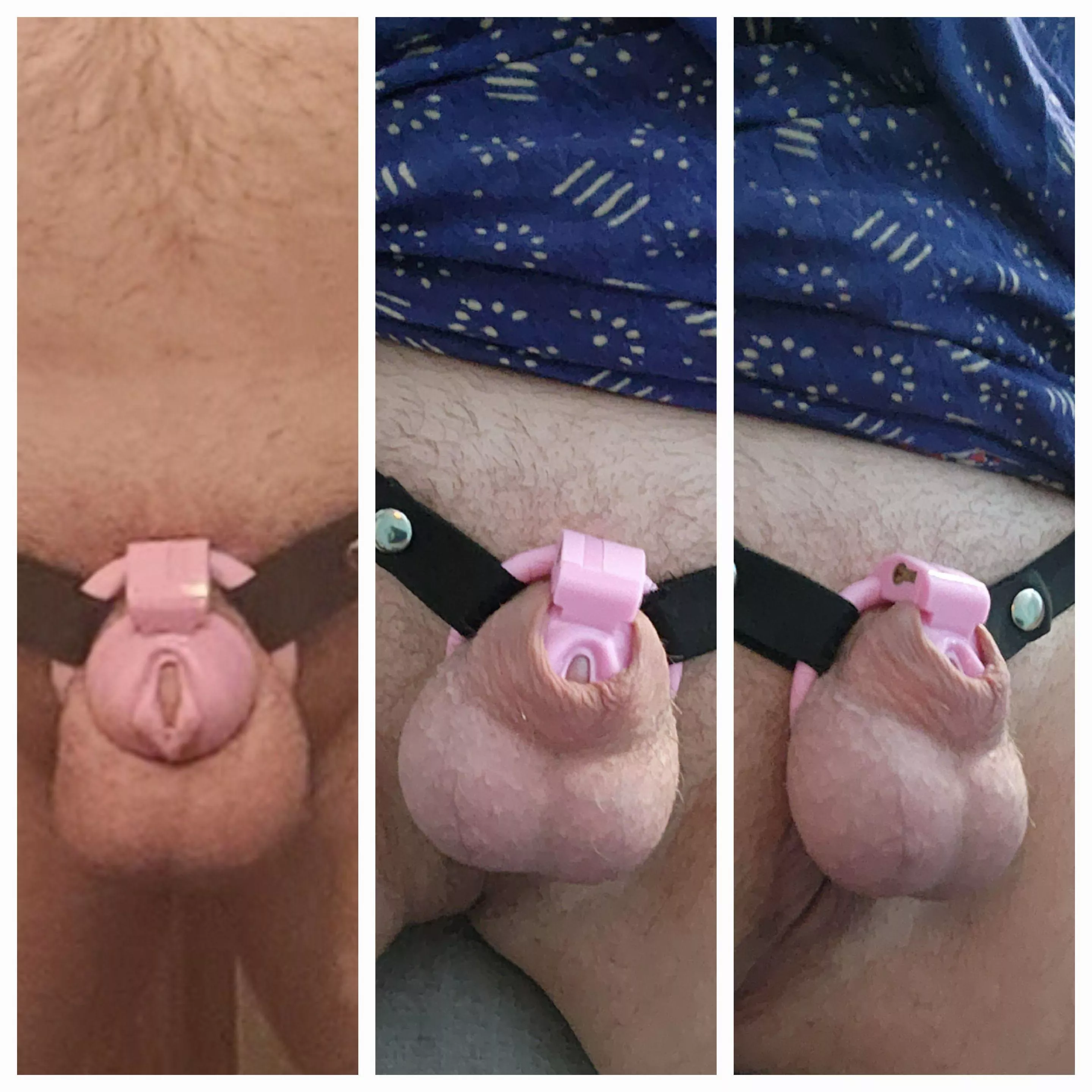 Finally figured out the best fit for this cage and it is HEAVEN posted by OopsAyeDidItUhGhin