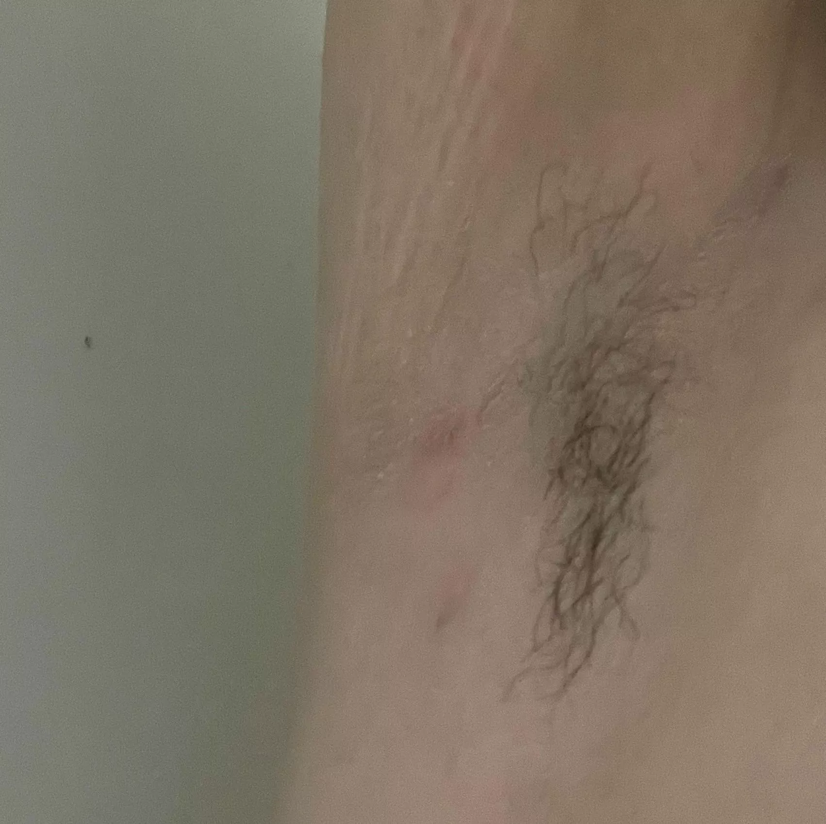 Growth for the month of Jan. 😄 posted by MysteryWilly