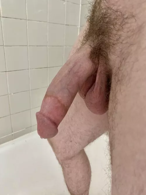 Just showing off by hippo_453