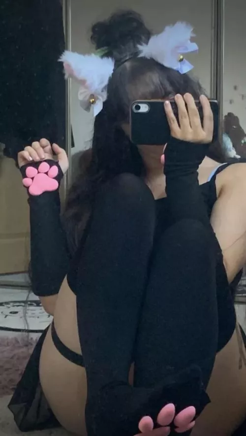 kitty wants to play by WhiskerWonders_heart