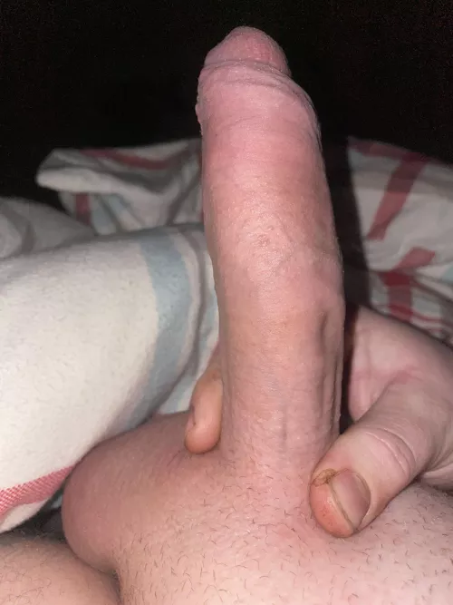 Morning by WinterFair6129