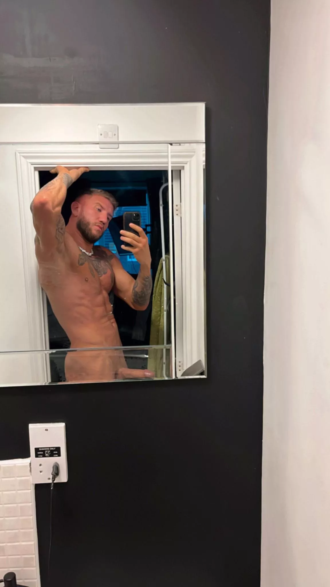 My mirror selfie is not complete without me sticking my dick in your butt posted by onlybigj