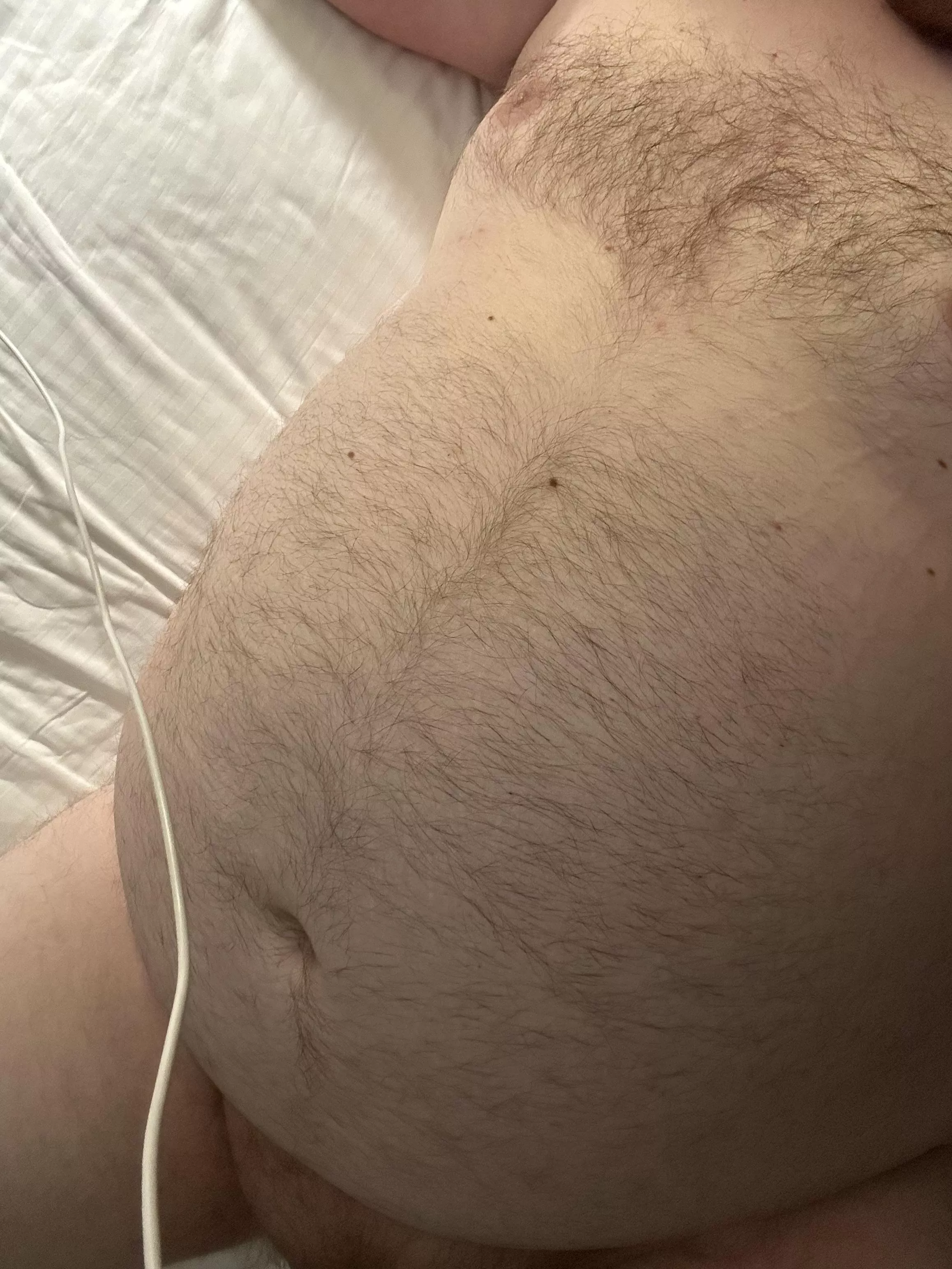 Need some belly rubs posted by canadianxlucas