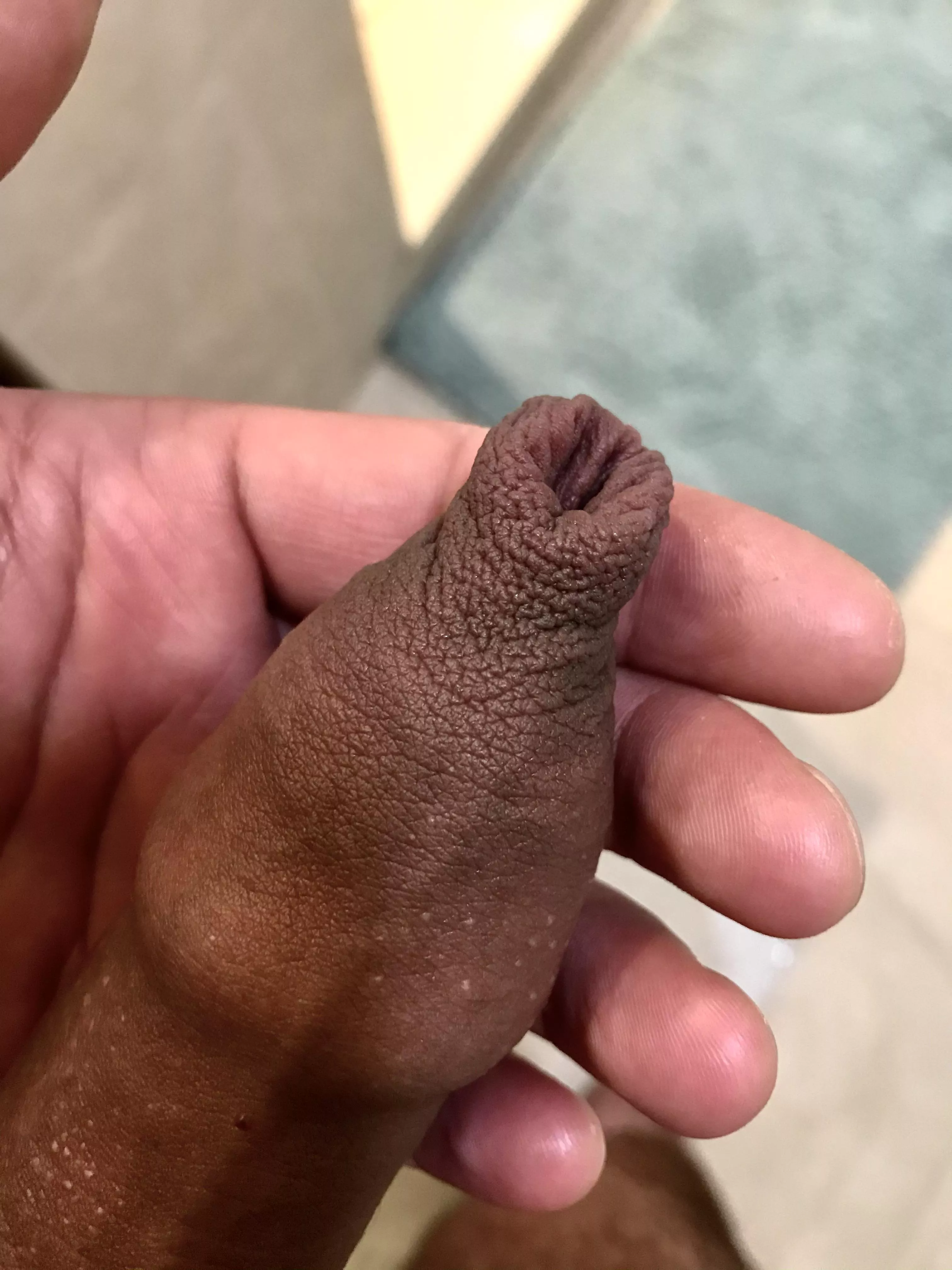 New here, what do you think? posted by Choice-Jicama6803