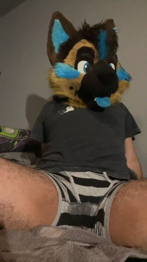 Puppy had a little accident… by Hornypuppymutt